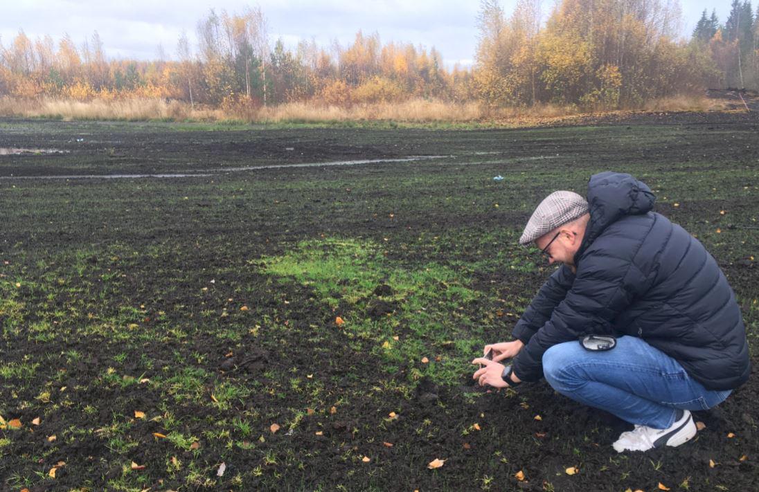 Kiertoon!-hankkeen projektipäällikkö Marko Malvisto kuvaa pilottialueelle, Kairinevan turvesuolle, alkusyksystä kylvettyä nurmea.